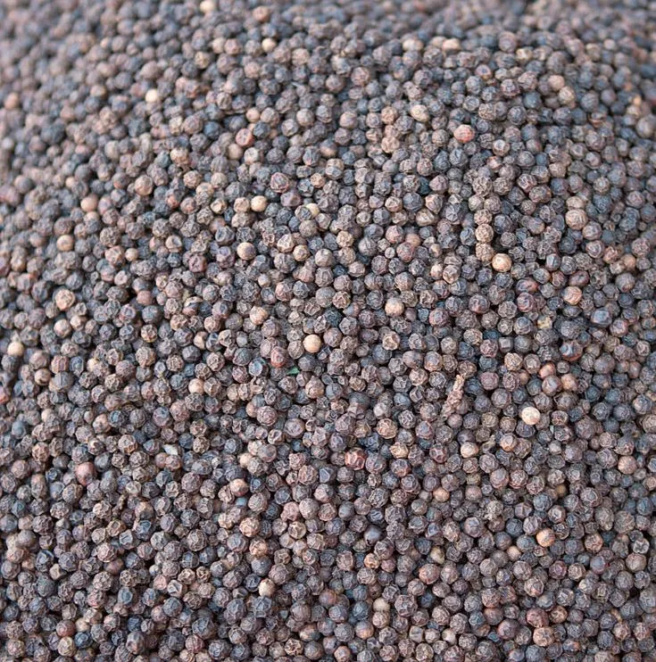 Black Pepper 2